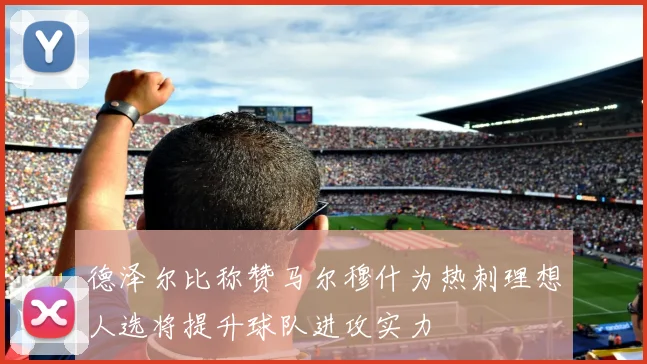 德泽尔比称赞马尔穆什为热刺理想人选将提升球队进攻实力